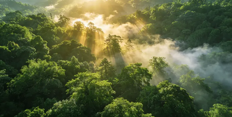 柳州肺癌靶向120基因检测及PDL122C3表达检测套餐（组织）图片1