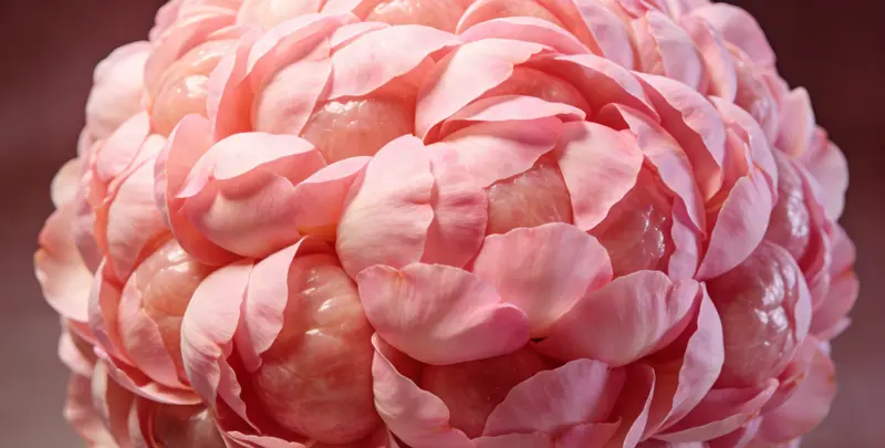 柳州BRCA1/2乳腺癌卵巢癌基因检测图片1